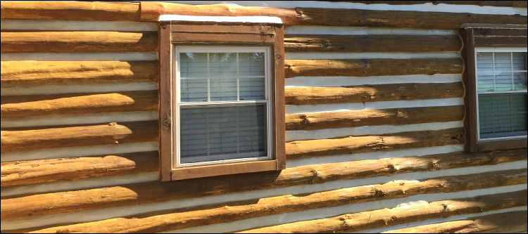 Log Home Whole Log Replacement  Evans County, Georgia