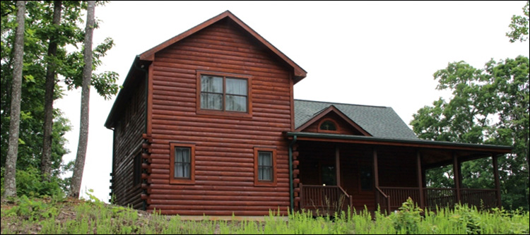 Professional Log Home Borate Application  Evans County, Georgia